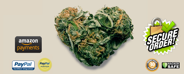 order cannabis seeds online
