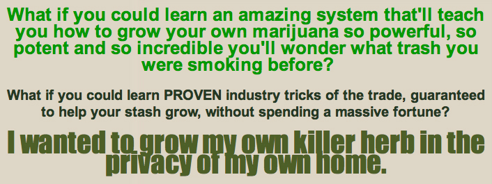 weed-high1