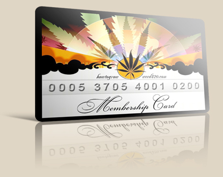 marijuana club card