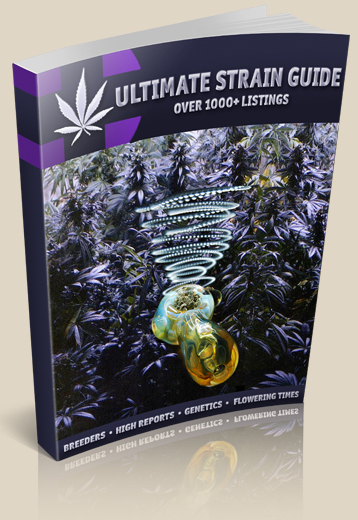 best marijuana grow book for beginners