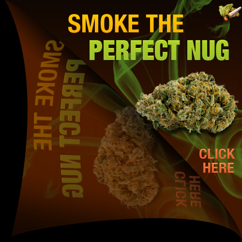 Learning to smoke your own homegrown bud has never been easier.