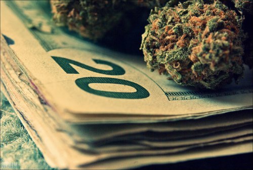 cannabis money