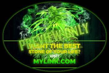 Only the dankest herb is grown with Ryan Riley's Growing Elite Marijuana tutorials for beginners.