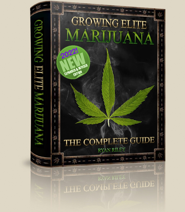 cannabis grow bible ebook download kat.cr